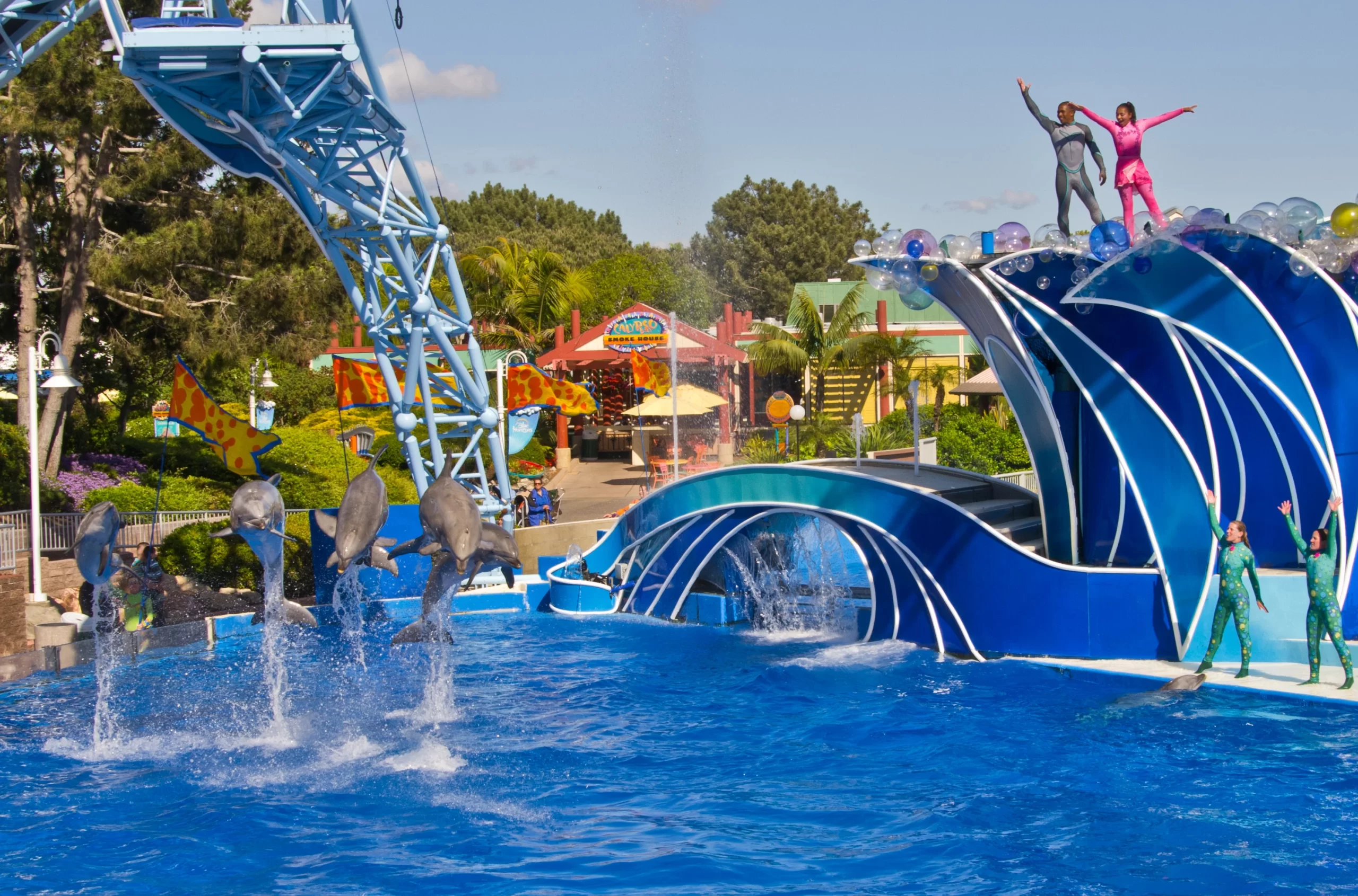 Orca en SeaWorld